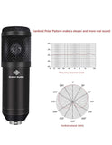Microphone and Interface Podcast Kit. BM 800 Professional Condenser Microphone with V8 Sound Card Set for Live Recording